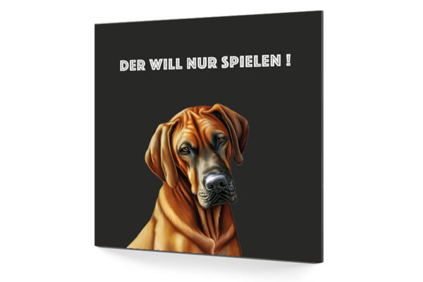 Hundeschild der will nur spielen