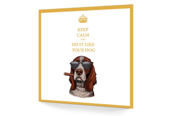 Hundeschild keep calm