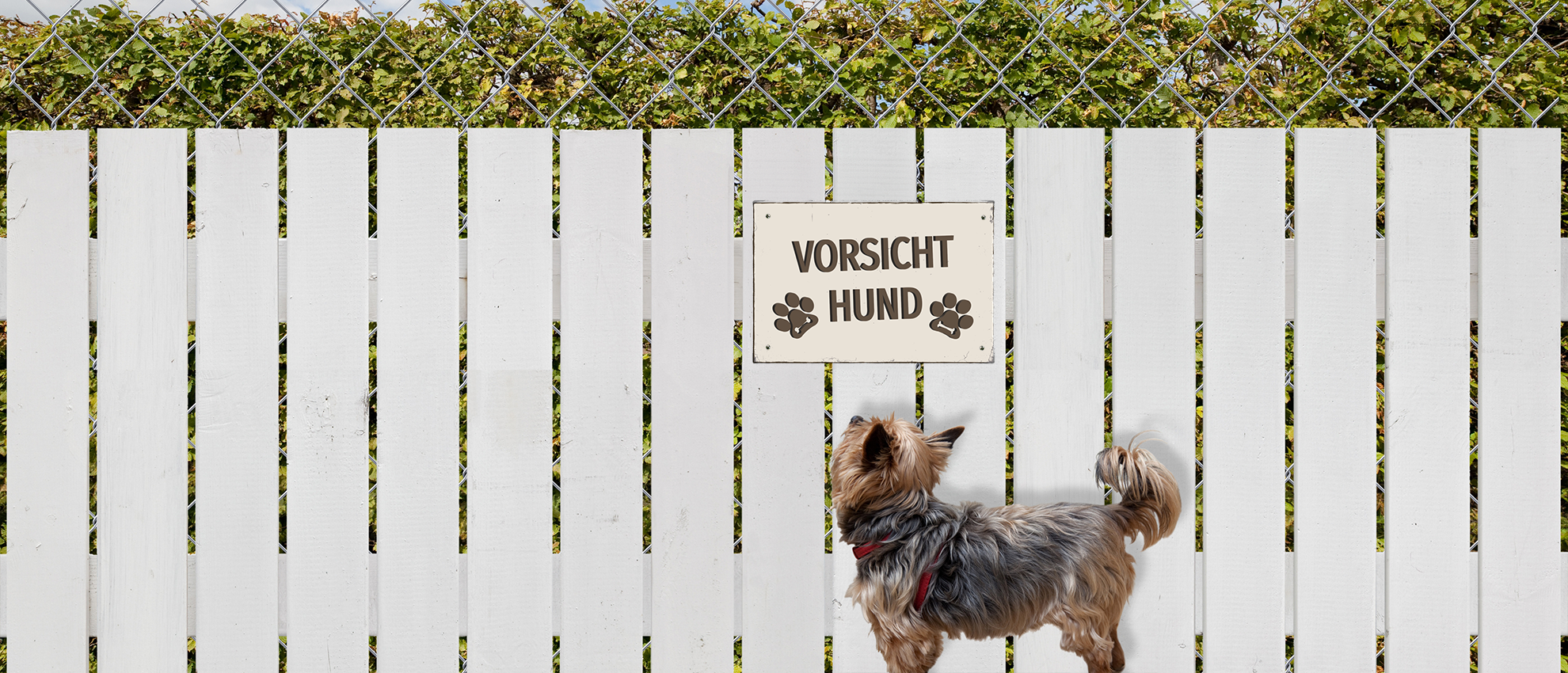 Schild-Vorsicht-Hund-2