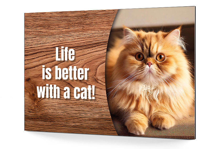 Katzenschild mit Foto (oval) & Wunschtext