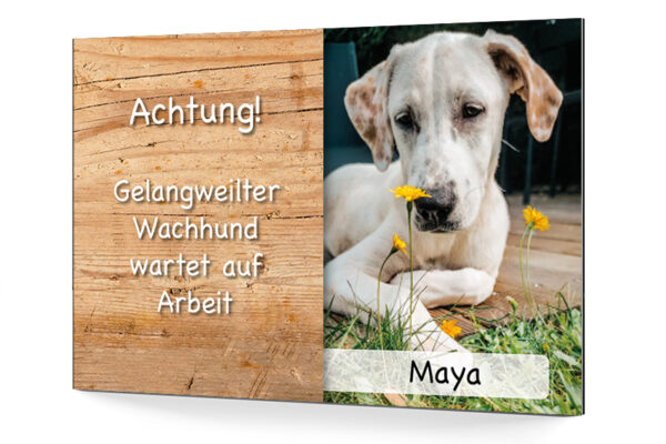 Hundeschild mit eigenem Foto und Wunschtext